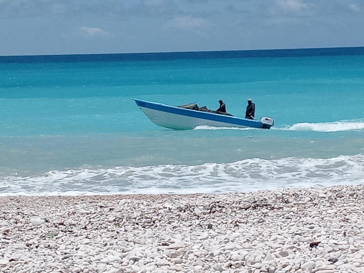 Beachfront Apartment, Quiet 4 Beds, 1 Bath, Ac, Wi-Fi, Hot Water, In Paraiso Near Los Patos 외부 사진