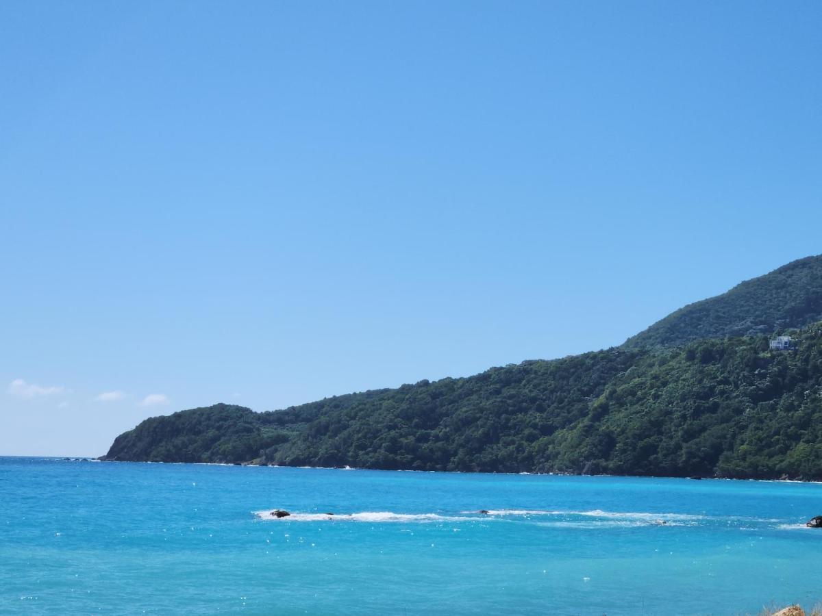 Beachfront Apartment, Quiet 4 Beds, 1 Bath, Ac, Wi-Fi, Hot Water, In Paraiso Near Los Patos 외부 사진