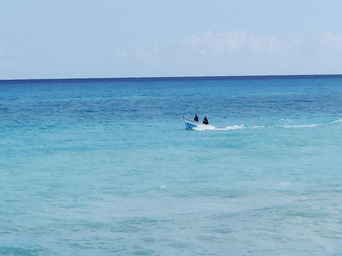 Beachfront Apartment, Quiet 4 Beds, 1 Bath, Ac, Wi-Fi, Hot Water, In Paraiso Near Los Patos 외부 사진