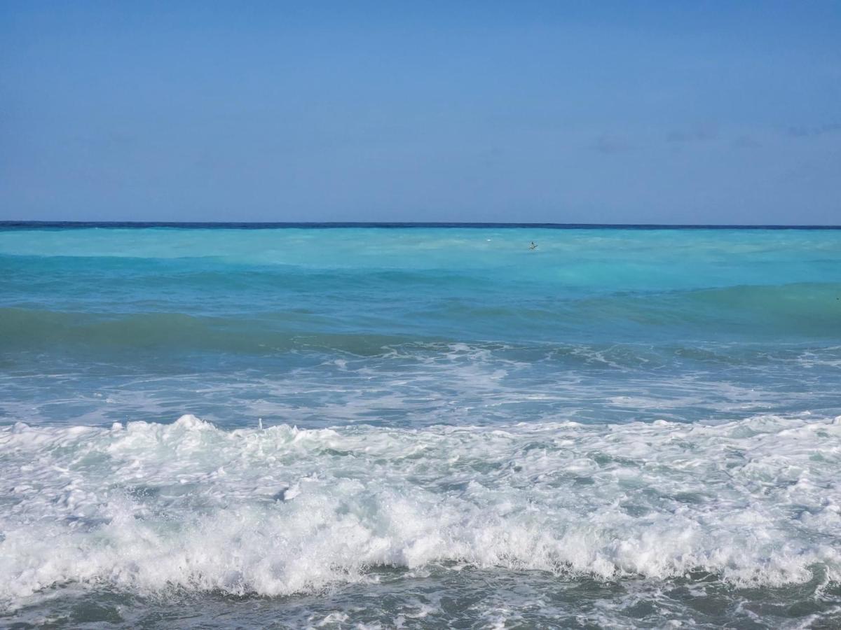 Beachfront Apartment, Quiet 4 Beds, 1 Bath, Ac, Wi-Fi, Hot Water, In Paraiso Near Los Patos 외부 사진